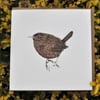 Jenny Wren blank greeting card 