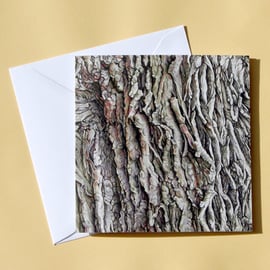 Greetings Card - Blank - Oak Tree Bark