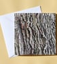 Greetings Card - Blank - Oak Tree Bark - Image 1