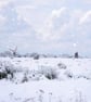 Windmills Norfolk Broads Snow Norfolk Christmas Greeting Card A5