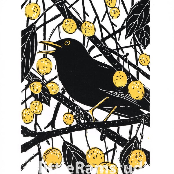 Blackbird - Original limited edition linocut print