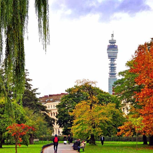 Autumn Trees Regent's Park London England Photograph Print