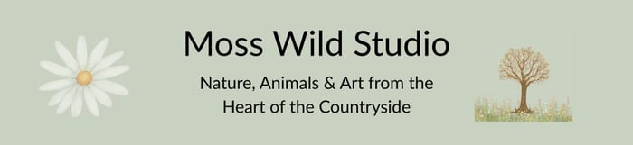 MossWildStudio