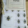 Bee wrapping paper