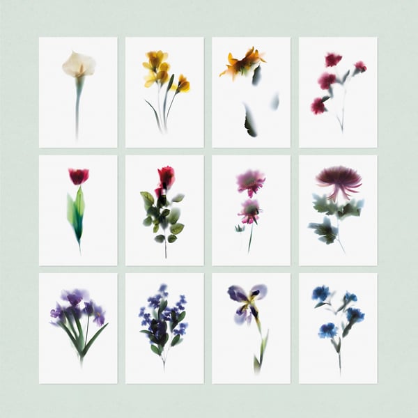 Set of 12 floral postcard with assorted flowers