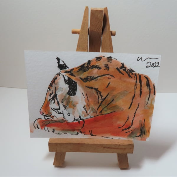 ACEO Animal Art Tiger Nap Original Watercolour Ink Painting OOAK 