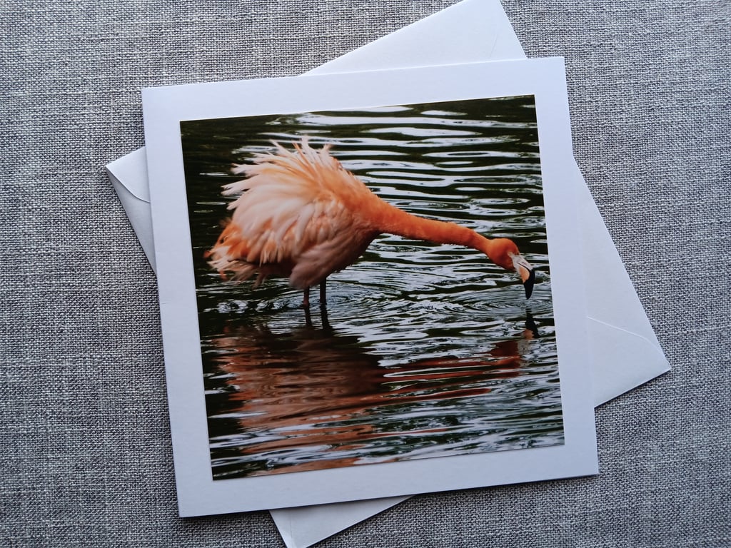 Funny Flamingo Large Square Photographic Card 6" x 6" (15cm x 15cm) Blank