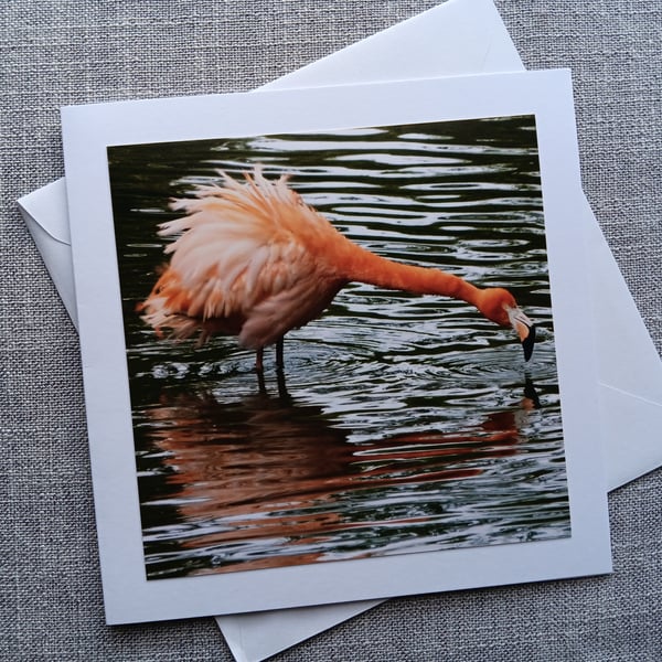 Funny Flamingo Large Square Photographic Card 6" x 6" (15cm x 15cm) Blank