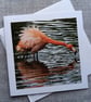 Funny Flamingo Large Square Photographic Card 6" x 6" (15cm x 15cm) Blank - Image 1