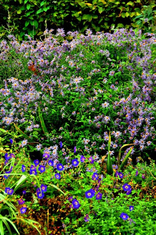 Regent's Park Gardens London England UK Photograph Print