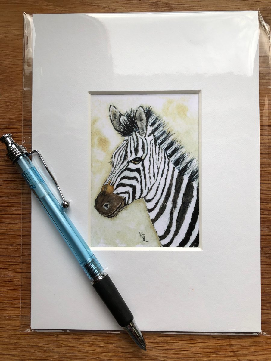 'Zebedee Zebra' Mounted print of miniature watercolour - FREE UK POST