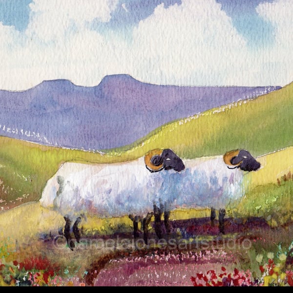 Sheep In The Brecon Beacons, Original watercolour in 10 x 8 '' Mount