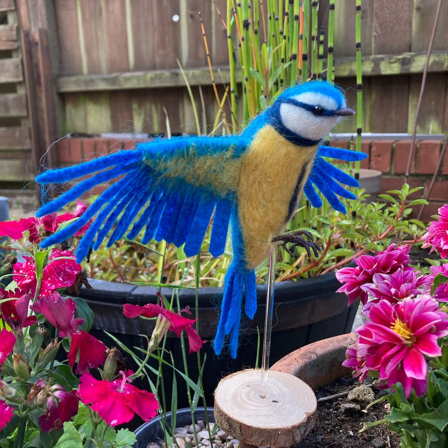 Needle felted Blue tit in flight, woollen bird sculpture
