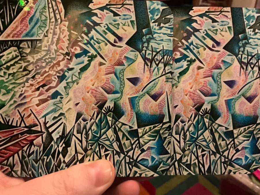 Shallow Pool Coaster