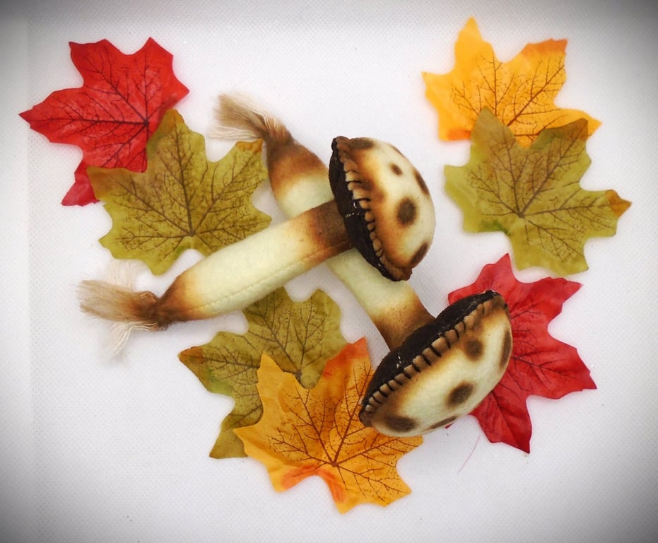 Set of two Handmade Felt, Autumn Mushrooms Toadstools