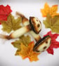 Set of two Handmade Felt, Autumn Mushrooms Toadstools