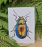 Tansy beetle card