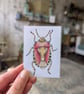 Set of 10 Insect ACEO Illustrations  - Image 4
