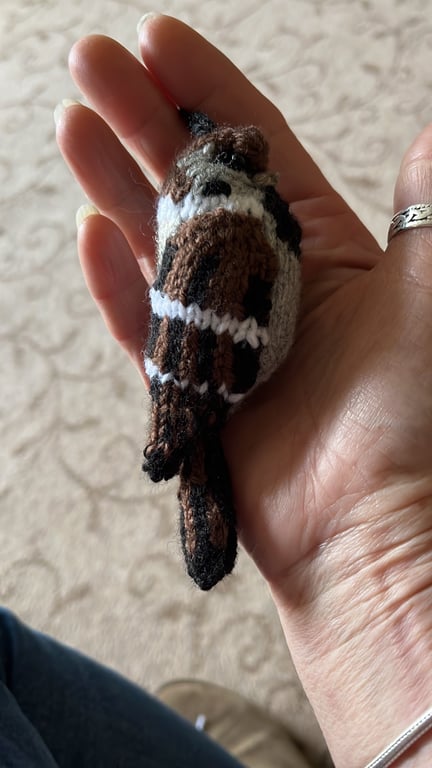 House Sparrow bird  hand knit tree decoration 