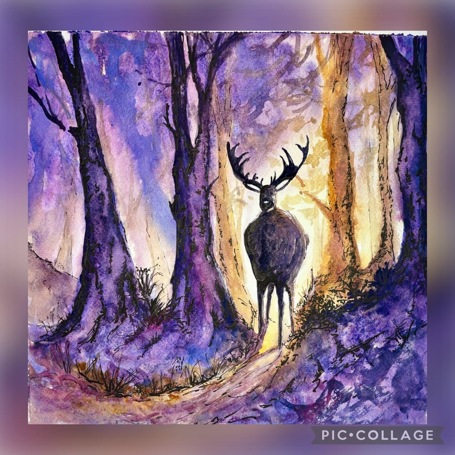Deer in the Forest