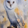 Barn Owl Original watercolour