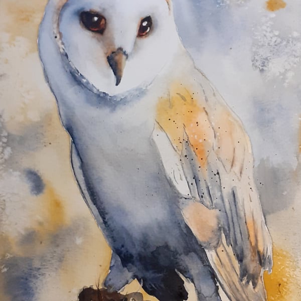 Barn Owl Original watercolour