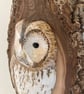 Tawny owl in tree - Image 4