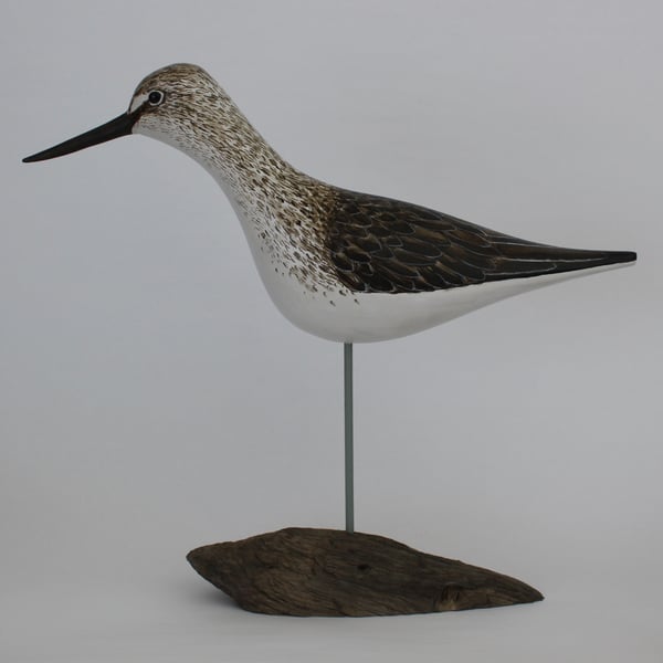 Greenshank on driftwood