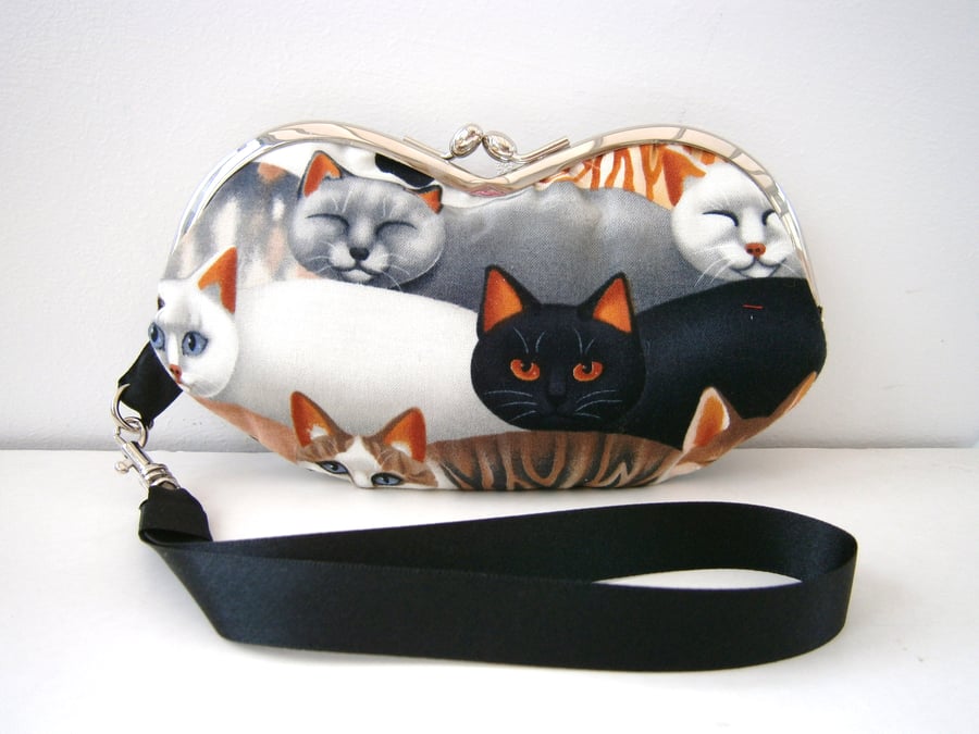Cats Glasses case