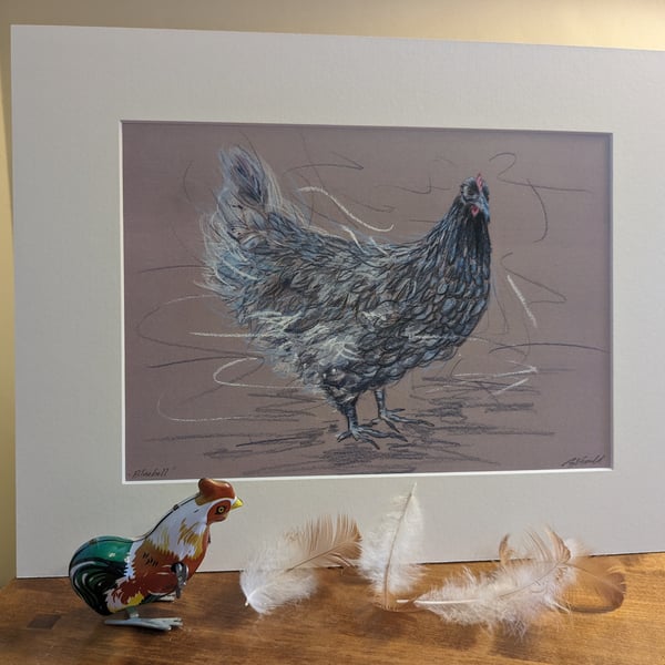 Bluebell Hen, an A4 mounted print of an original drawing