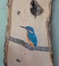 Original Kingfisher and Bee Painting on Reclaimed Wood