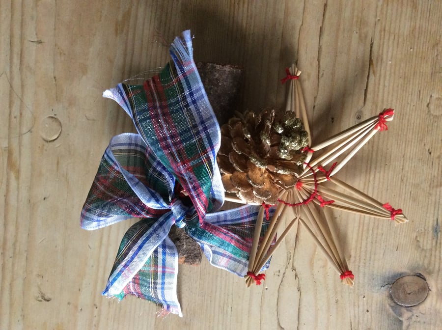 Cinnamon stick, ribbon and star decoration