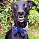 Harris Tweed Dog Bow with Velvet Centre