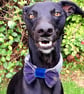 Harris Tweed Dog Bow with Velvet Centre