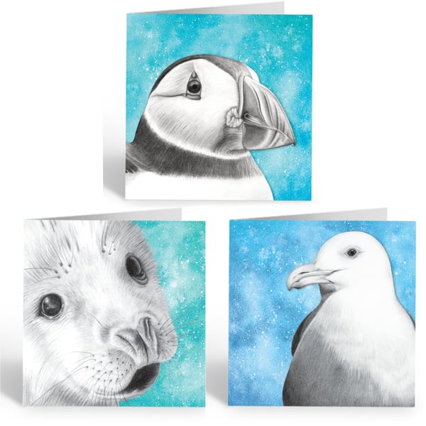 Greetings Cards (Pack of 3) - Puffin, Seagull and Baby Seal - Pencil Drawing Art