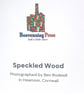 Blank Card A6 Portrait - Speckled Wood - Image 4