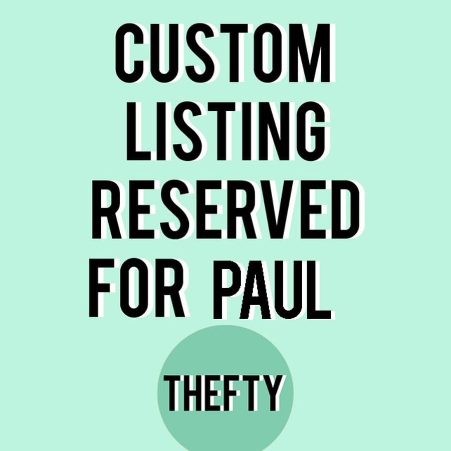 Custom listing - reserved for Paul