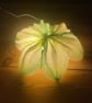 Paper table lamp - pod light - Image 3