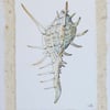 Hand drawn and painted sea shell greeting card OOAK