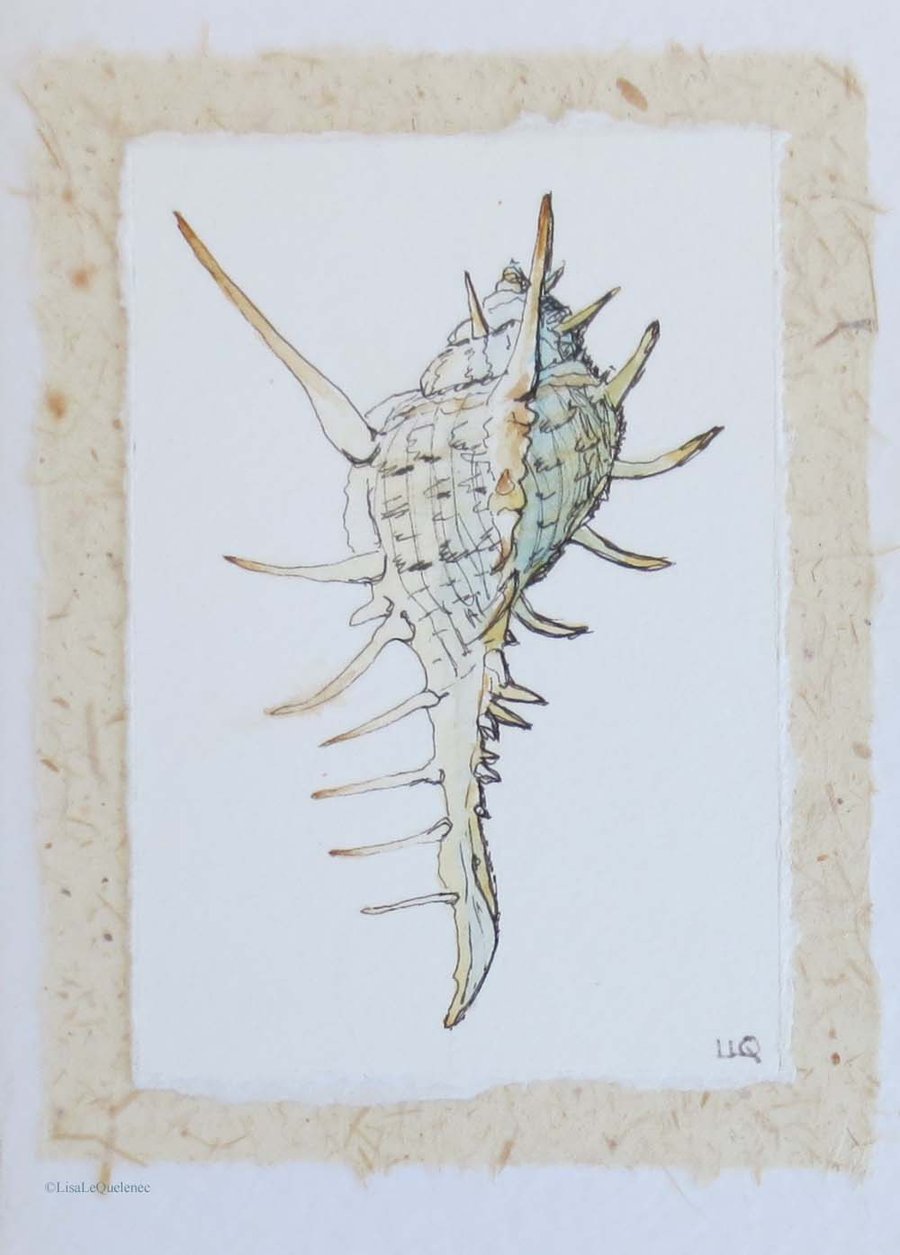 Hand drawn and painted sea shell greeting card OOAK