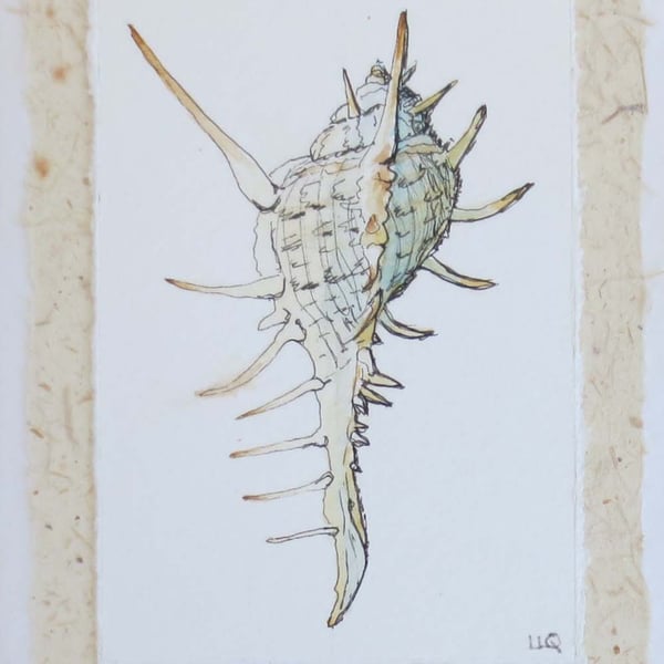 Hand drawn and painted sea shell greeting card OOAK