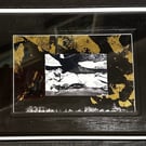 The Man Without a Tan No:2