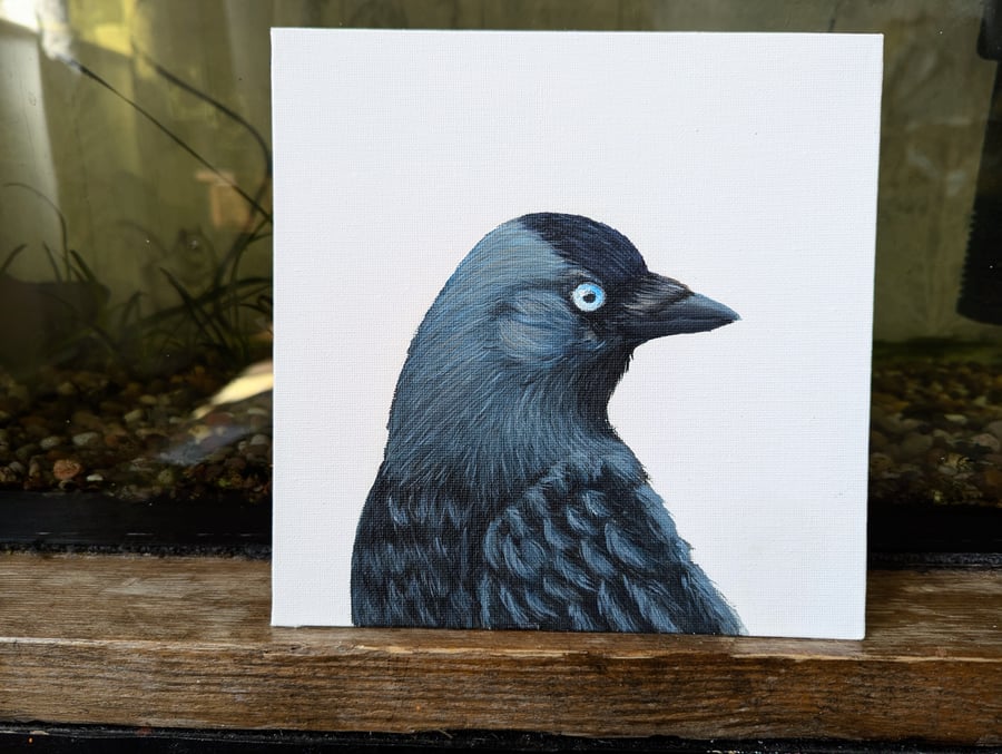 Jackdaw Portrait Painting 