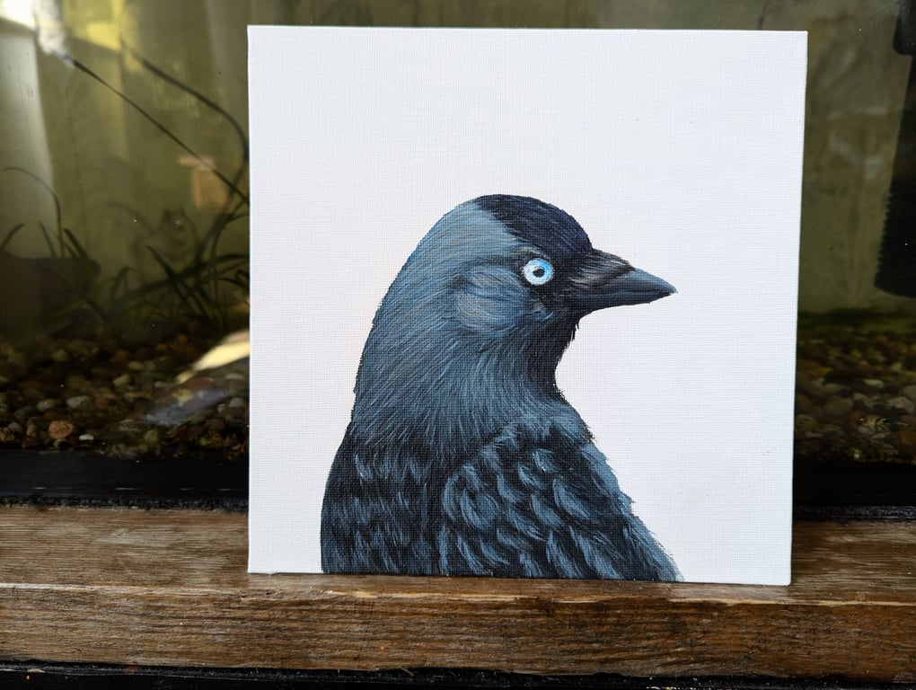 Jackdaw Portrait Painting 