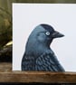 Jackdaw Portrait Painting 