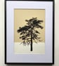 Ashdown Pine no.59, Original artwork, A4 size, hand painted, yellow - Image 3