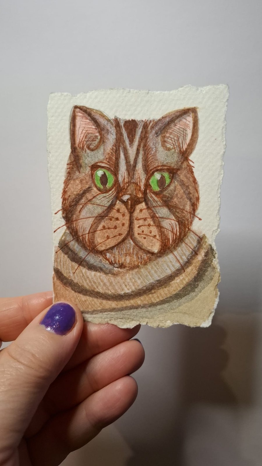 Stripy brown cat portrait illustration 