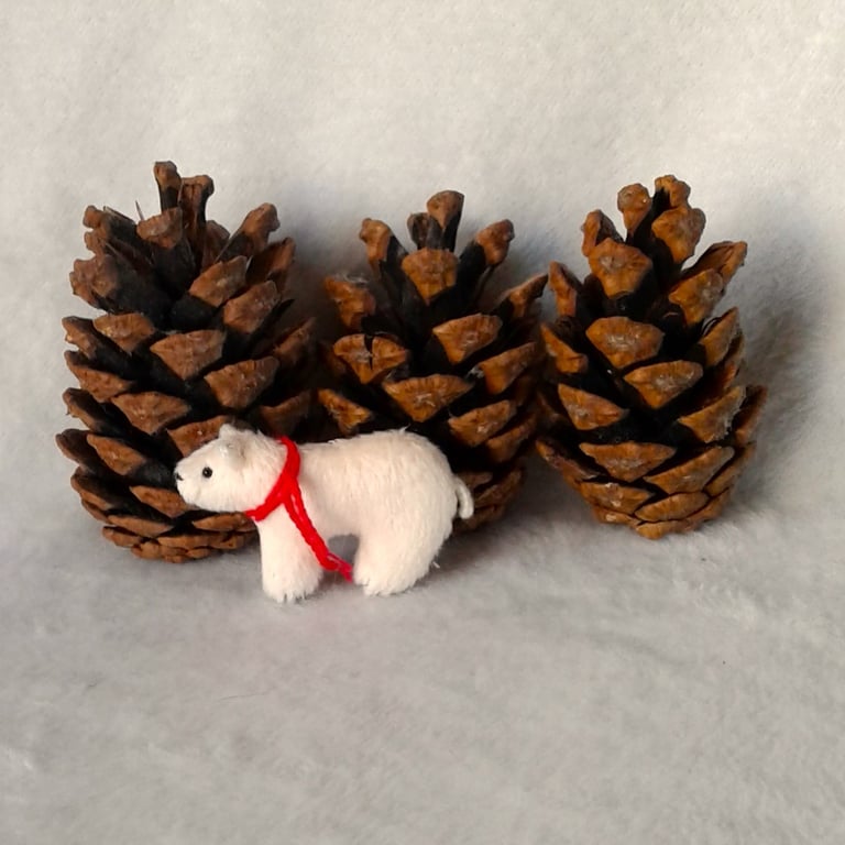 Tiny Polar Ted in a box, letterbox 'random act of tiny Christmas furry kindness'