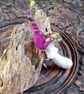 Psychedelic mushroom brooch - Image 3