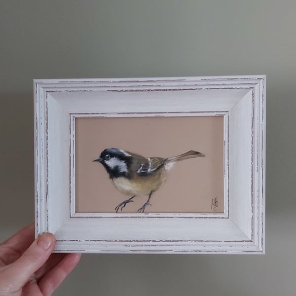 Framed Original Art Soft Pastel Drawing of a Coaltit bird